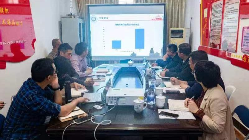 案例一：某知名手机品牌